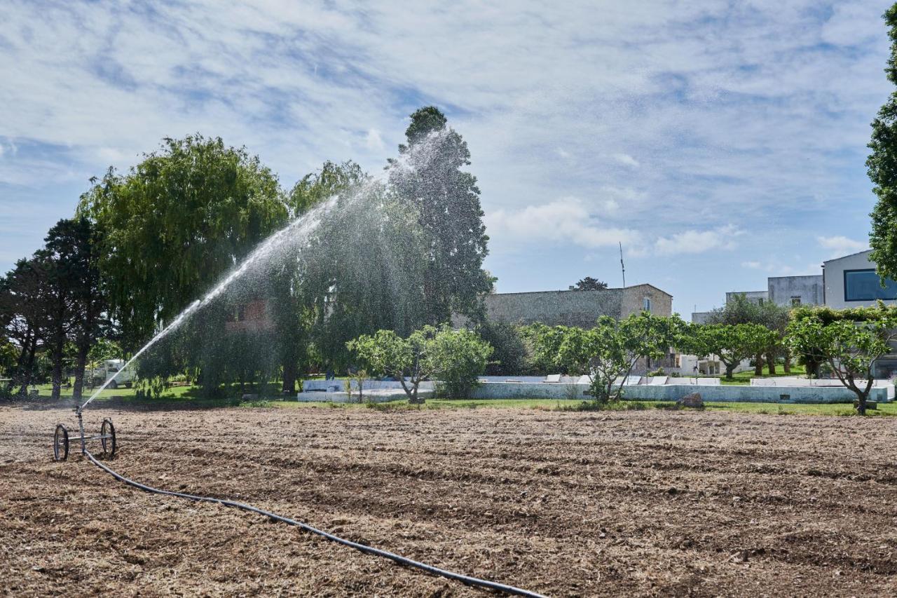 Masseria Prosperi 阿利米尼 外观 照片
