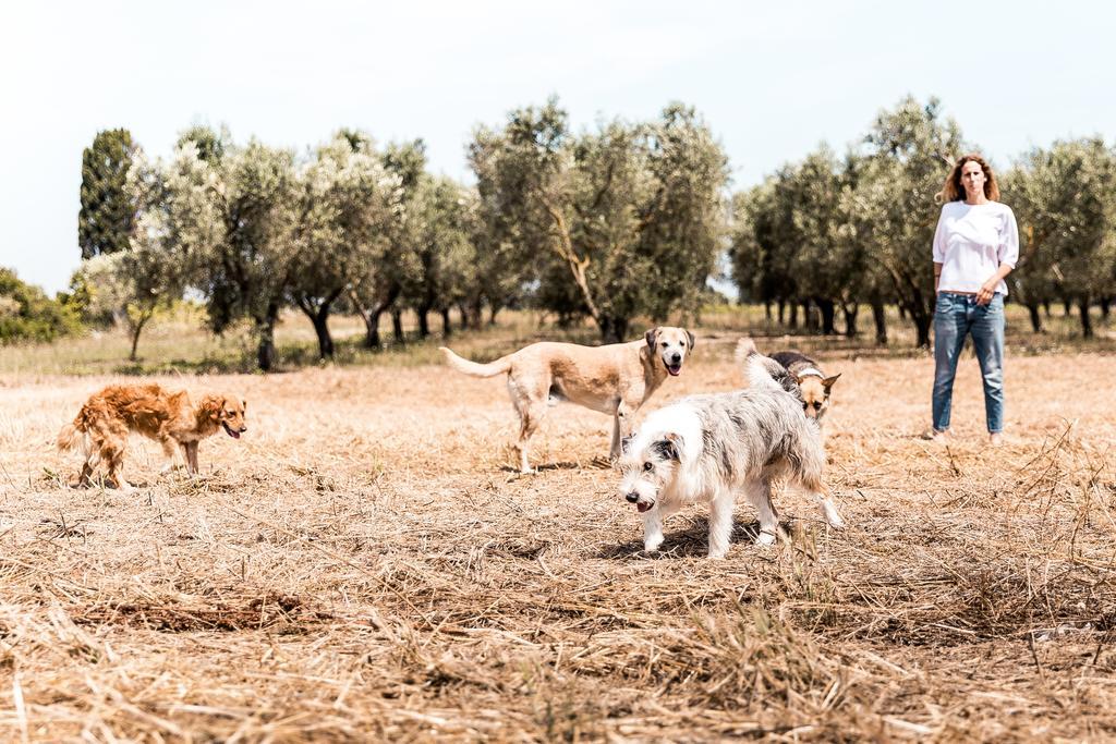 Masseria Prosperi 阿利米尼 外观 照片