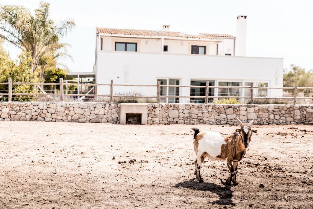 Masseria Prosperi 阿利米尼 外观 照片