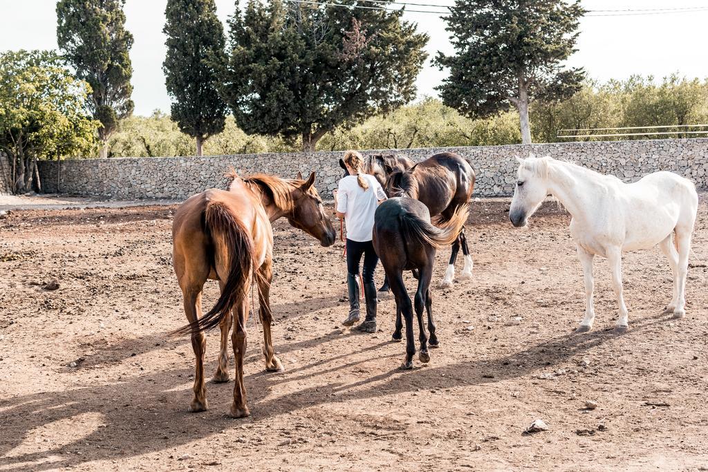 Masseria Prosperi 阿利米尼 外观 照片